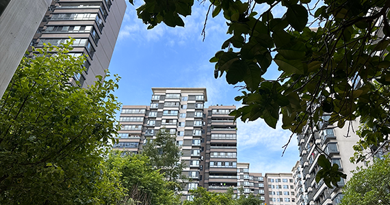 怎么申请邮箱域名